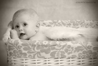 /album/fotogaleria/sdsc02994-jpg/